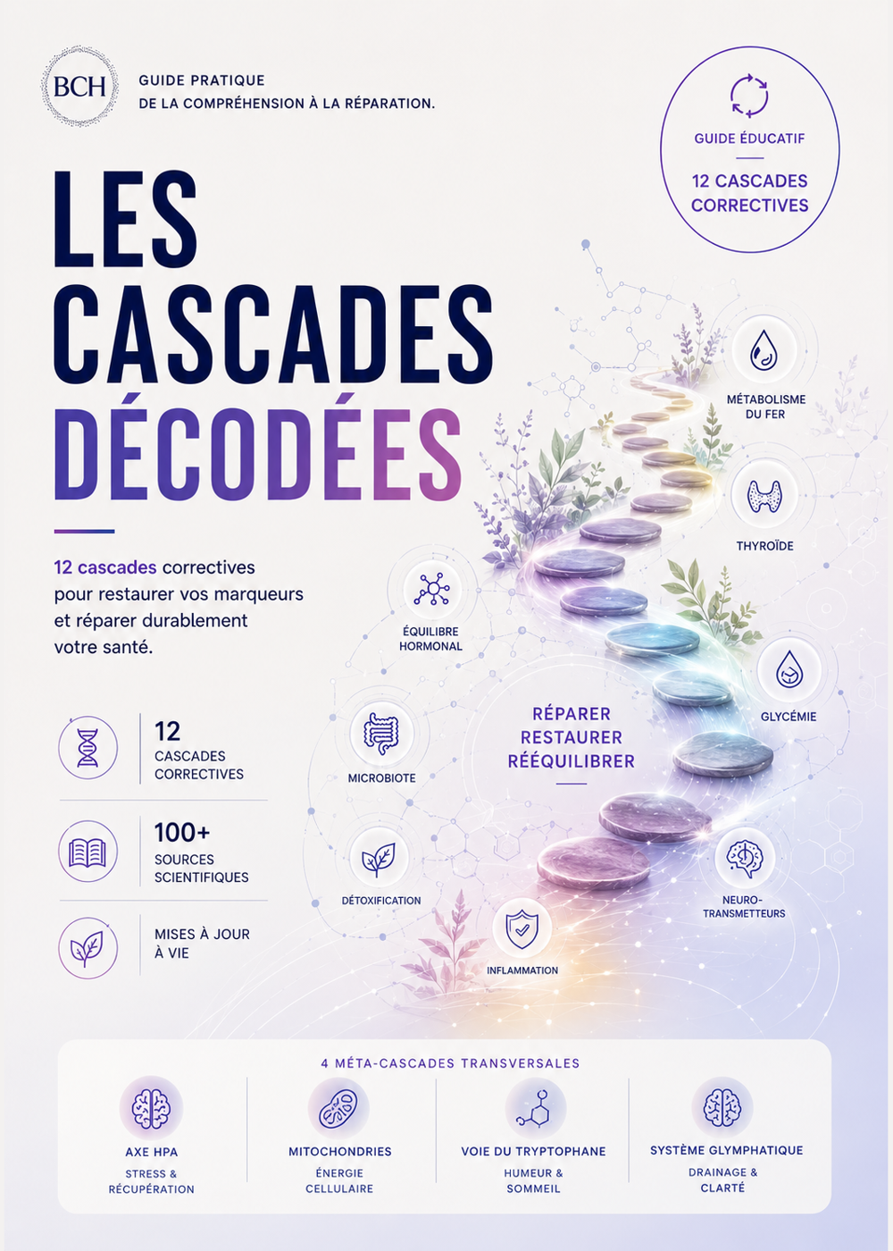 Les Cascades Décodées