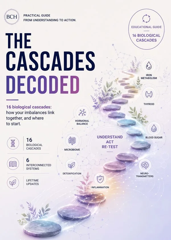Cover: The Cascades Decoded