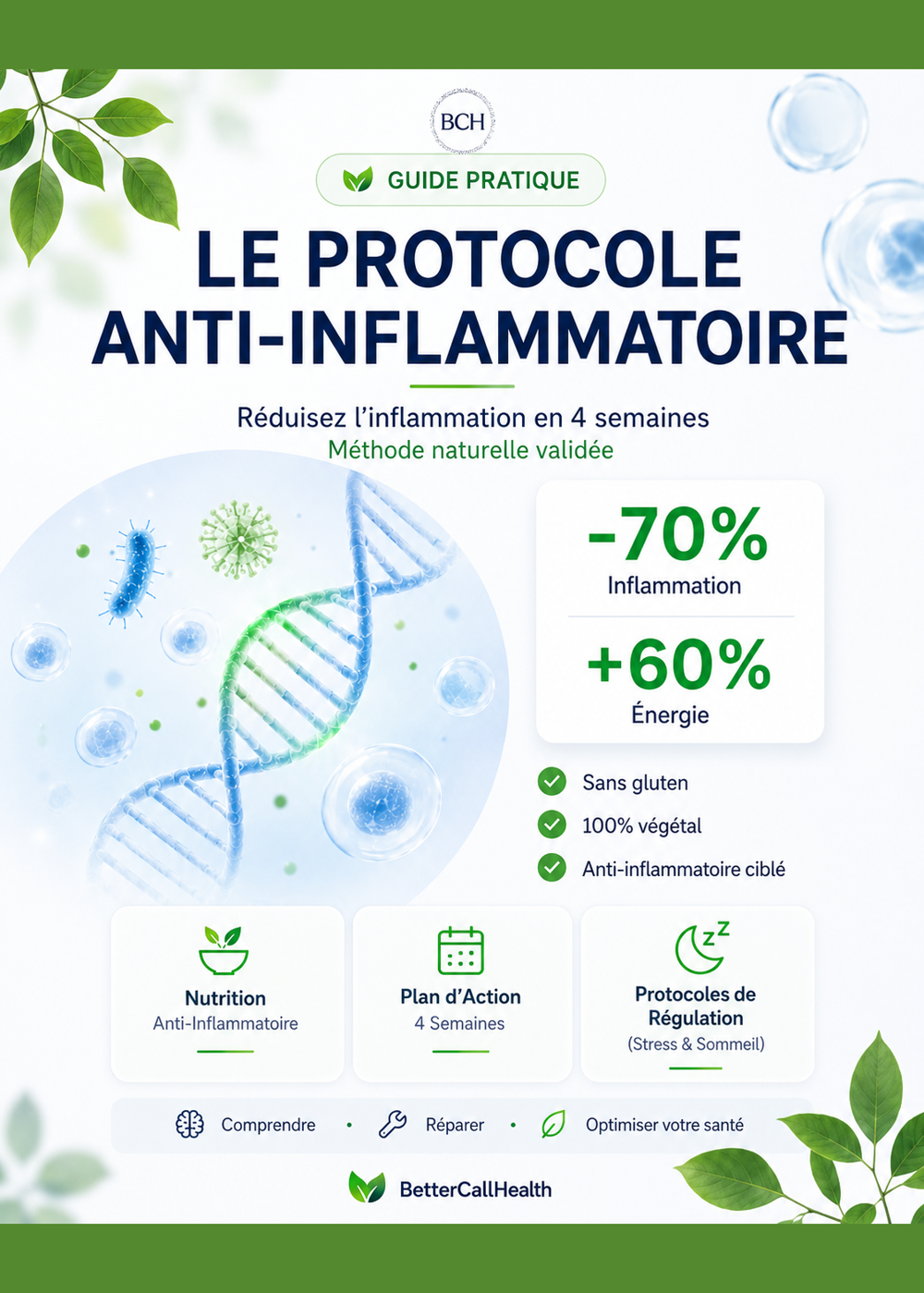Le Protocole Anti-Inflammatoire